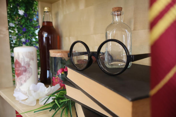 Harry Potter Themed Experience