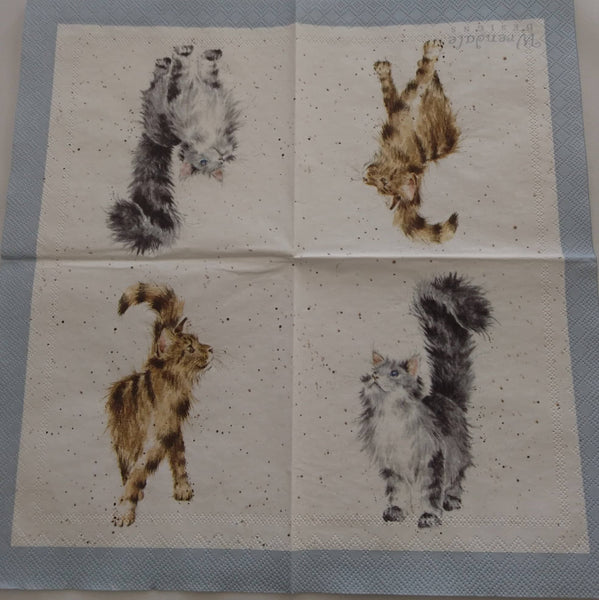 Napkins